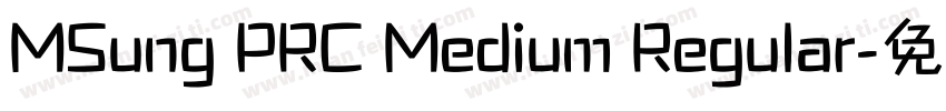 MSung PRC Medium Regular字体转换